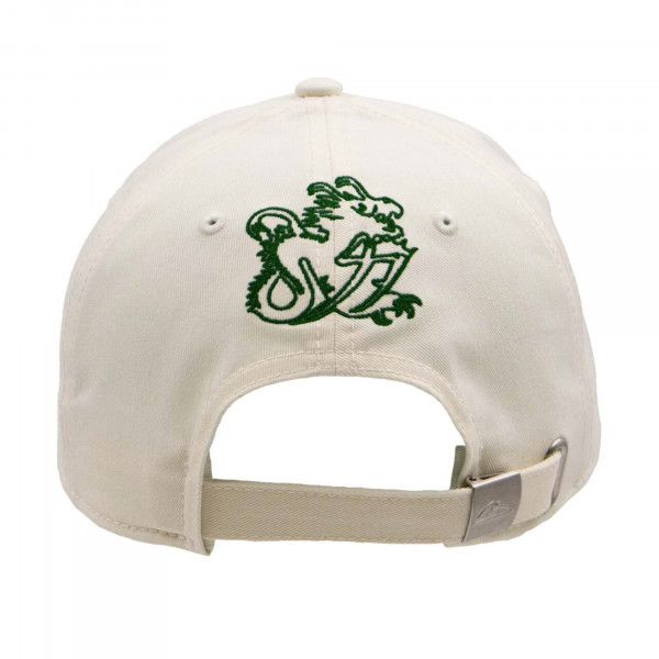 Mick Schumacher Cap Dragon